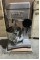 Міксер планетарний  Industrial B40  (40L)